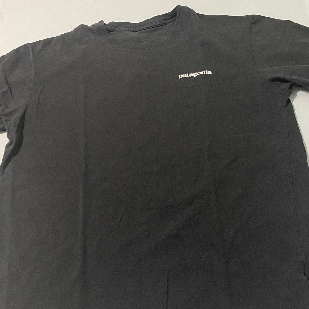 Patagonia Men's Charcoal Tee
